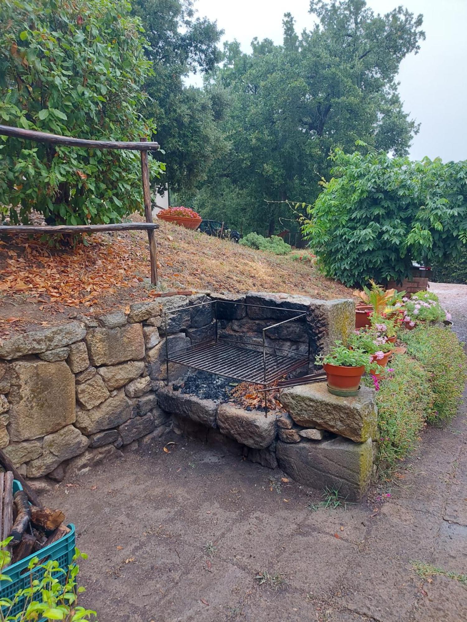 Agriturismo Il Giovannello Roccastrada Bagian luar foto
