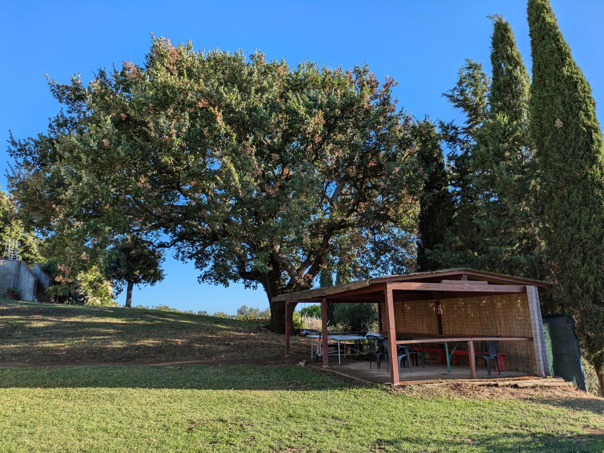 Agriturismo Il Giovannello Roccastrada Bagian luar foto